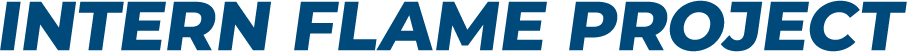 Nagaoka Intern Flame Project